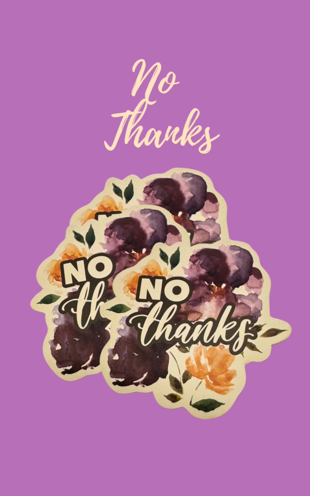 "No Thanks" Sticker